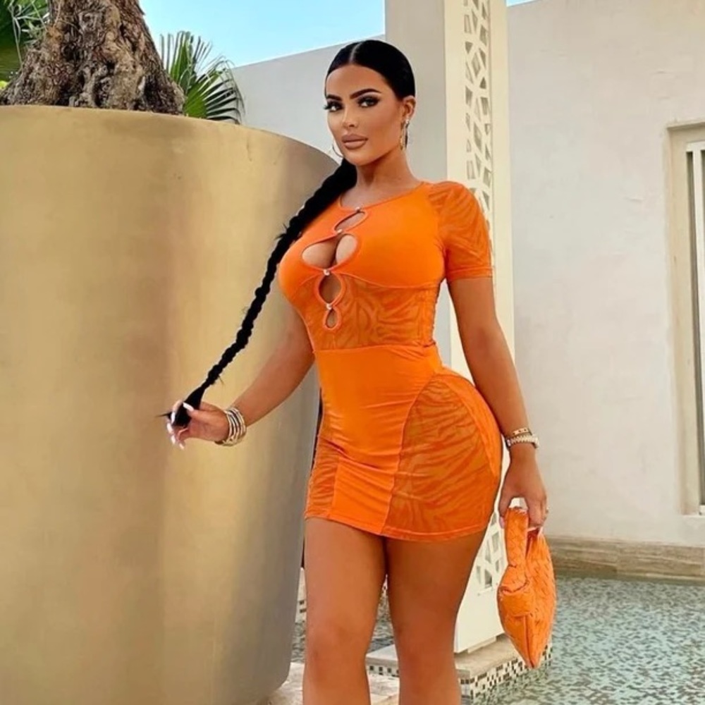 YG COLLECTION ATHENA MESH MINI DRESS ORANGE